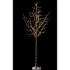 RETIF Bouleau Marron 600 Micro Leds Blanc Chaud H.180Cm Online