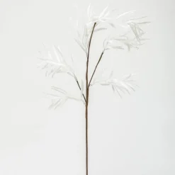 RETIF Branche Enneigee L 74 Cm Clearance