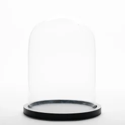 RETIF Cloche En Verre Sur Socle En Bois O 18.5 X H 25.5 Cm Online