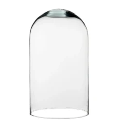 RETIF Cloche Verre Transparent H36,5Cm Cheap