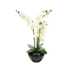 RETIF Compo Artificielle De 3 Roses Blanches Dans 3 Vases En Verre Lies Par Une Corde Fashion