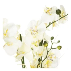 RETIF Compo Artificielle De 3 Roses Blanches Dans 3 Vases En Verre Lies Par Une Corde Fashion
