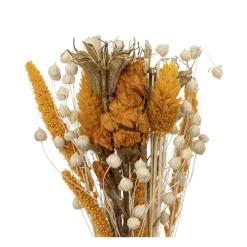 RETIF Composition De Fleurs Sechees Vase En Verre D. 10Xh. 27Cm Cheap