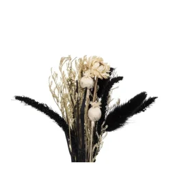 RETIF Composition De Fleurs Sechees Vase En Verre D. 10Xh. 27Cm Clearance