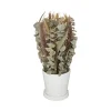 RETIF Composition De Fleurs Sechees Pot En Ceramique D. 26Xh. 36Cm Store
