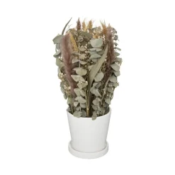 RETIF Composition De Fleurs Sechees Pot En Ceramique D. 26Xh. 36Cm Store