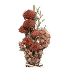 RETIF Composition De Fleurs Sechees Vase En Verre H28Cm Flash Sale