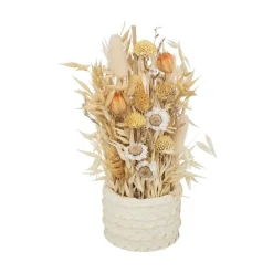 RETIF Composition Fleurs Sechees En Pot D. 8,5Xh. 24Cm Store