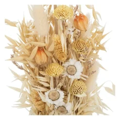RETIF Composition Fleurs Sechees En Pot D. 8,5Xh. 24Cm Store