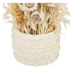 RETIF Composition Fleurs Sechees En Pot D. 8,5Xh. 24Cm Store