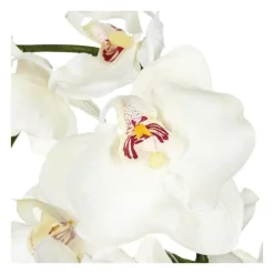 RETIF Composition Florale D'Orchidees Artificielles Vase En Ceramique H40Cm Cheap