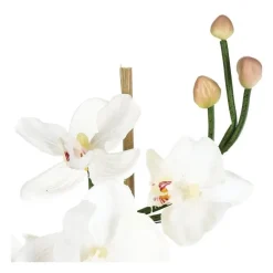 RETIF Composition Florale D'Orchidees Artificielles Vase En Verre D. 18Xh. 35Cm Cheap