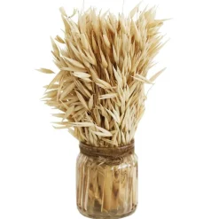 RETIF Epis Seches Dans Flacon En Verre H18Cm Flash Sale