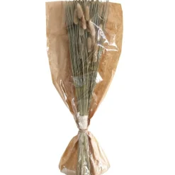 RETIF Fleurs Sechees En Bouquet Avec Chatons Dans Sachet Kraft H55/60Cm Flash Sale