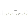 RETIF Guirlande 10 M Extension Latex Ip44 - 100 Bulbes Clairs 230V Best Sale