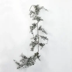 RETIF Guirlande D'Eucalyptus Givree L 120 Cm Discount