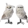 RETIF Hibou Ou Chouette Blanche 14X12X23Cm - 2 Modeles Possibles New