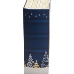 RETIF Livre Coffret En Carton Sapins Bleus/Dorure Noel 20X33,3X10,7 Cm - Par 8 Store