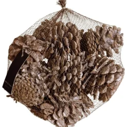 RETIF Pommes De Pin Givrees - Sachet 300G Cheap