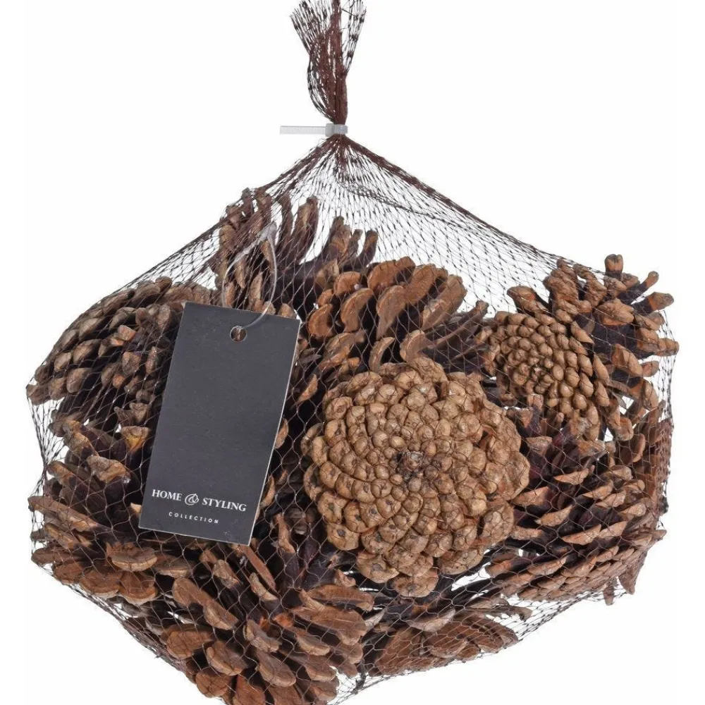 RETIF Pommes De Pin Naturelles - Sachet 300G Outlet