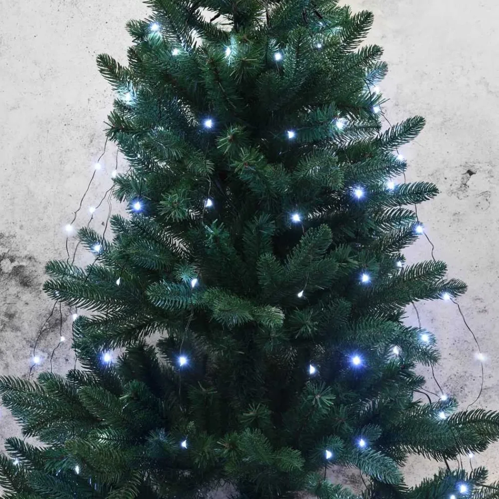 RETIF Rideau Pour Sapin Micro Led Blanc Pur - 1,50 M Online