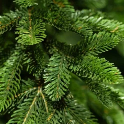RETIF Sapin Artificiel Alpine O36Xh150Cm Hot