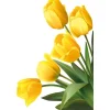 RETIF Vitrophanie Angle De Tulipes Jaunes, 3 Formats Hot