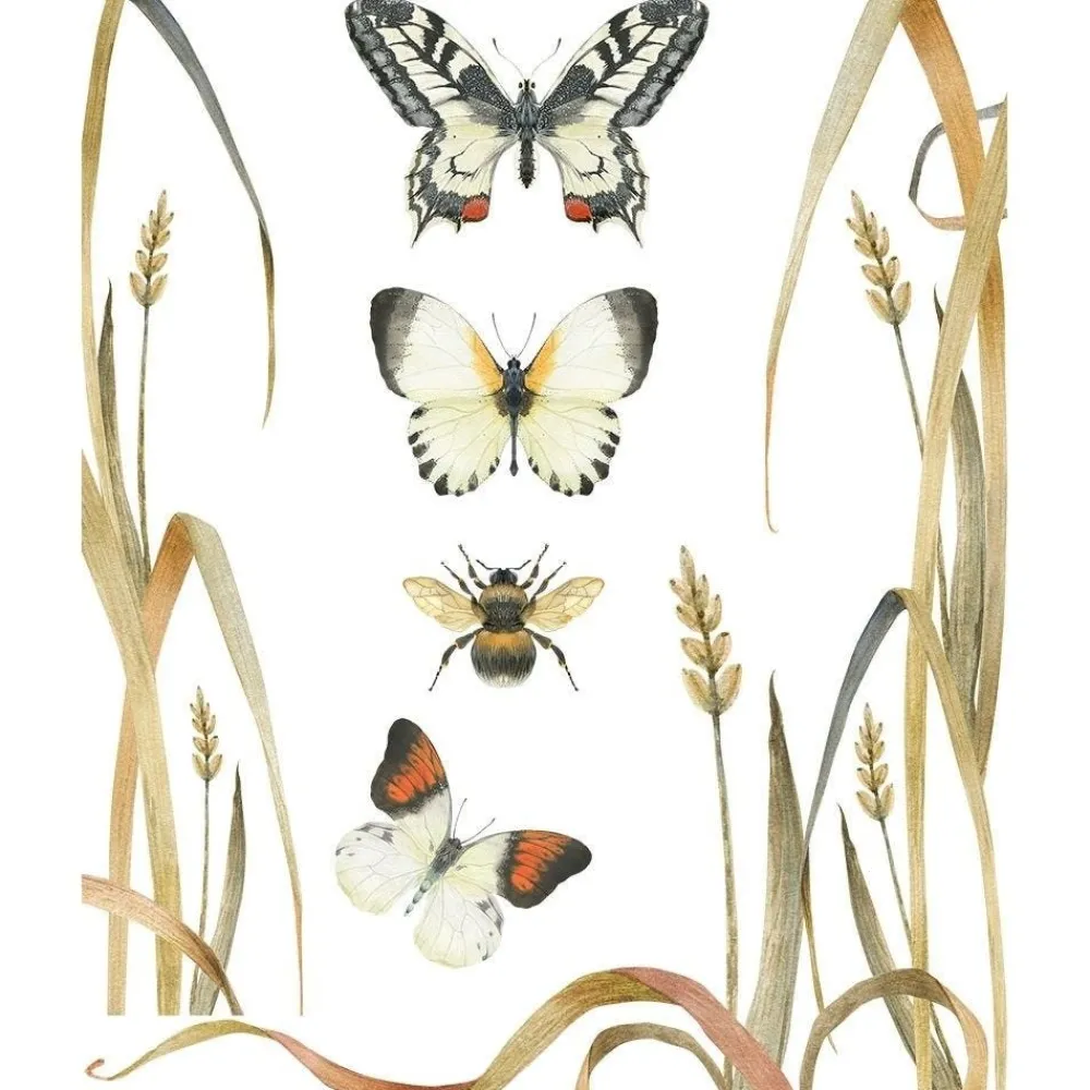 RETIF Vitrophanie Kit Epis Aquarelle, 2 Formats Clearance